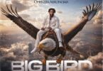 Lyrical Joe E28093 Oheneba Abronoma Big Bird mp3 image