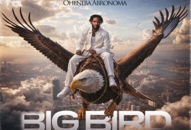 Lyrical Joe E28093 Oheneba Abronoma Big Bird mp3 image